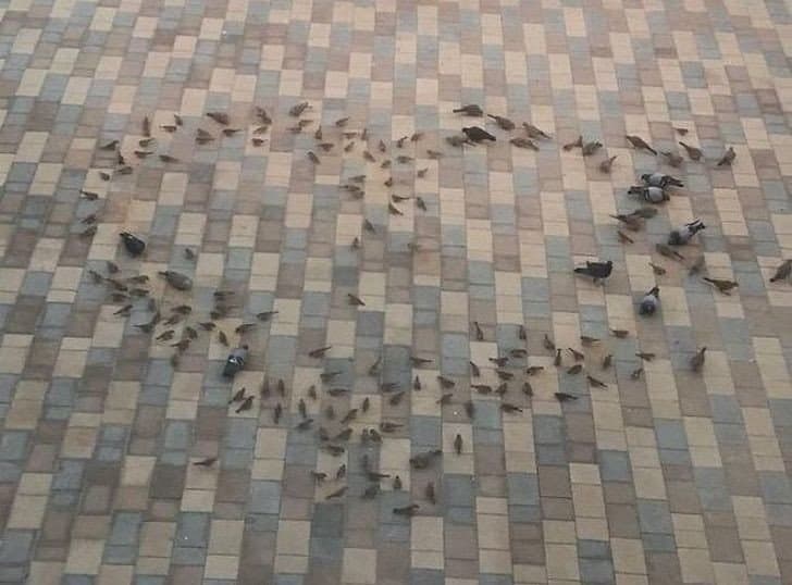 19 особливих моментів, які розкажуть, що таке дарувати радість близьким