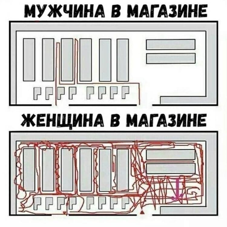 16 доказів того, що чоловіки і жінки походять від різних мавп