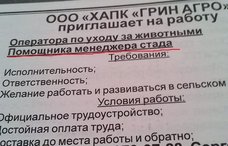 19 оголошень, які дивують своєю непередбачуваністю