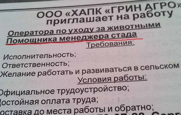 19 оголошень, які дивують своєю непередбачуваністю