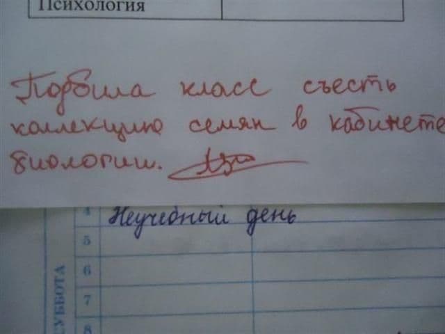 Чергова добірка записів в шкільних щоденниках