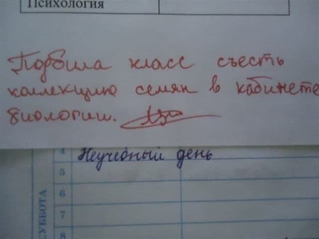 Найсмішніші записи в щоденниках школярів