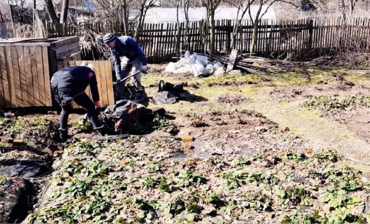 Подивилася як у Європі виглядають городи.  Свій переробила також, тепер сусіди заздрять