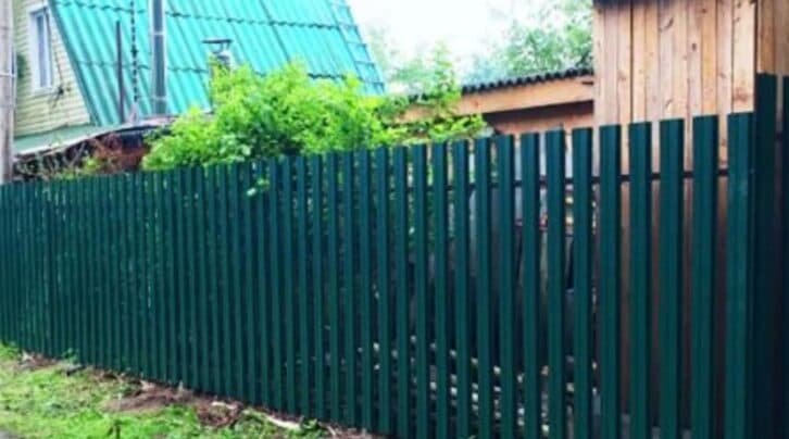 Не був на дачі дві тижні, а сусідка за цю годину поставила на моїй ділянці парник