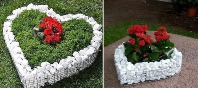 Як я зробила клумбу у формі серця своїми руками: мій покроковий досвід