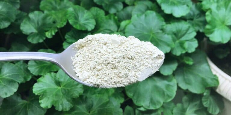 Настирливих мошок у помешканні не бачила вже 3 роки. Допоміг недоpoгий засіб