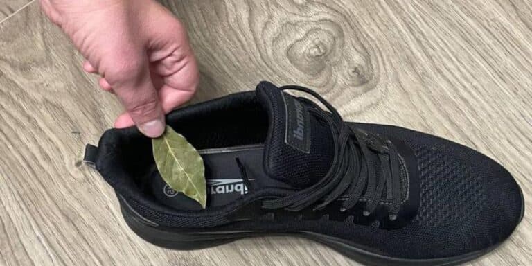 Лавровий лист: нестандартний спосіб використання у взутті