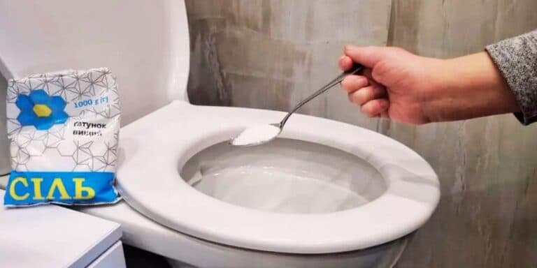 Навіщо сипати в унітаз сіль? Коли дiзнаєтеся, ви теж почнете так робити
