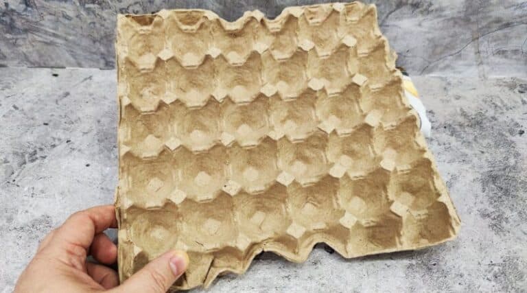 Лотки від яєць спускаю в льох – і всю зиму радію ефекту. Хитрість на 10 з 10