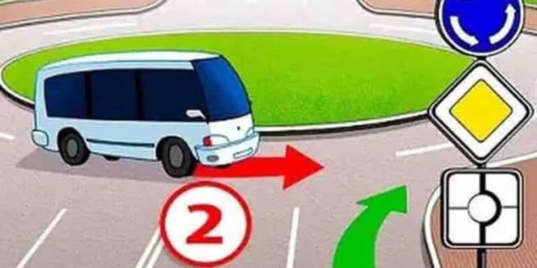 Заїжджаю на кільце. Який поворотник потрібно вмикнути? Багатьом треба пояснювати