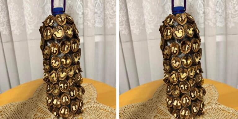 Як зробити підвісну годівничку з волоських горіхів. Покрокова інструкція