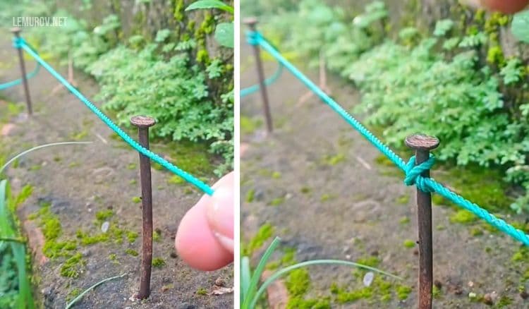 Простий спосіб швидко натягнути мотузку на городі або зробити рівну розмітку