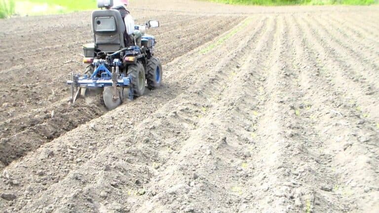 Посадка картоплі трактором чи вручну: що вигідніше у 2026 році