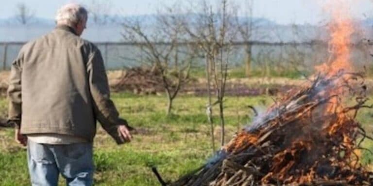 Чи можна палити гілля на подвірʼї та коли виписують штраф? Давайте розбиратися