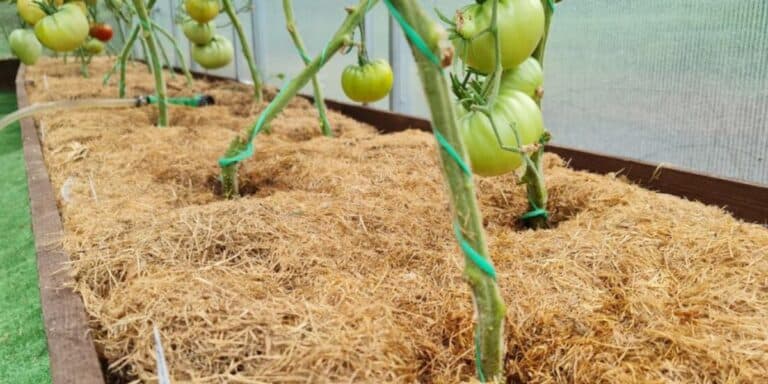 Знайшла спосіб, як позбутися комах швидко та без хімії. Тікають усі