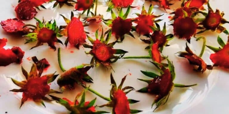 Подружка збирає полуничні хвостики, коли я дізналася для чого, то стала робити так само