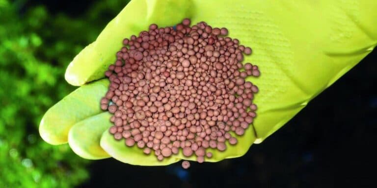 Нітроамофоска для городу: цiни, склад і як застосовувати, щоб отримати великий врожай