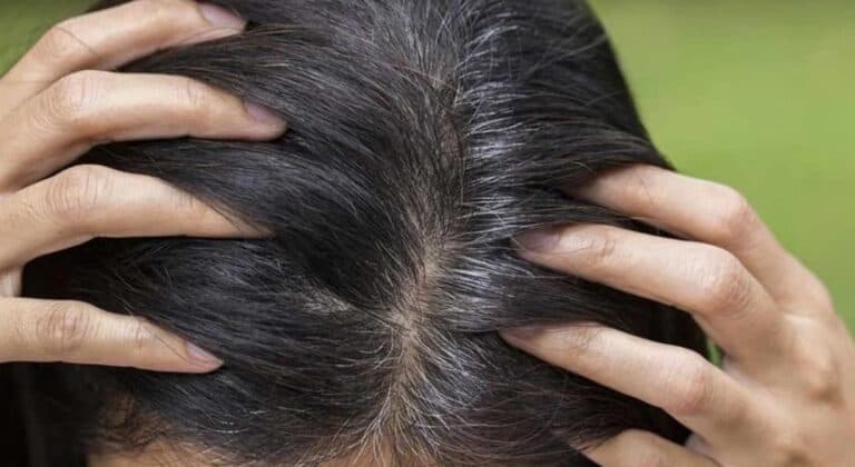 Подруга порадила — тепер мене не впізнають. Найкращі фарби для сивого волосся