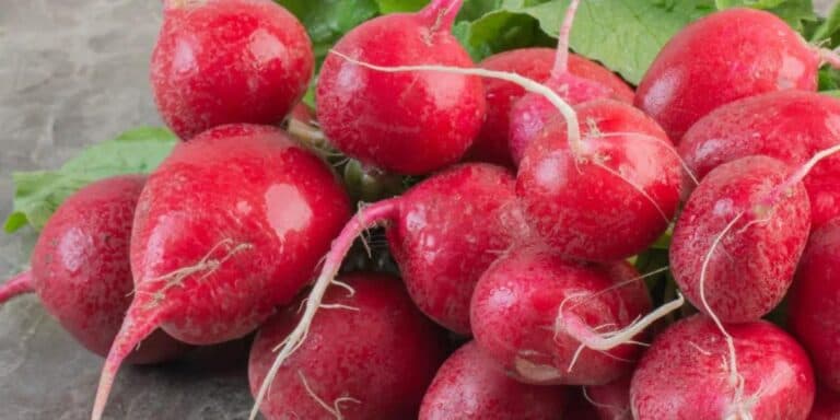 Яке насіння редиски краще купити? Розповідаю про 5 сортів, що дадуть ранній врожай