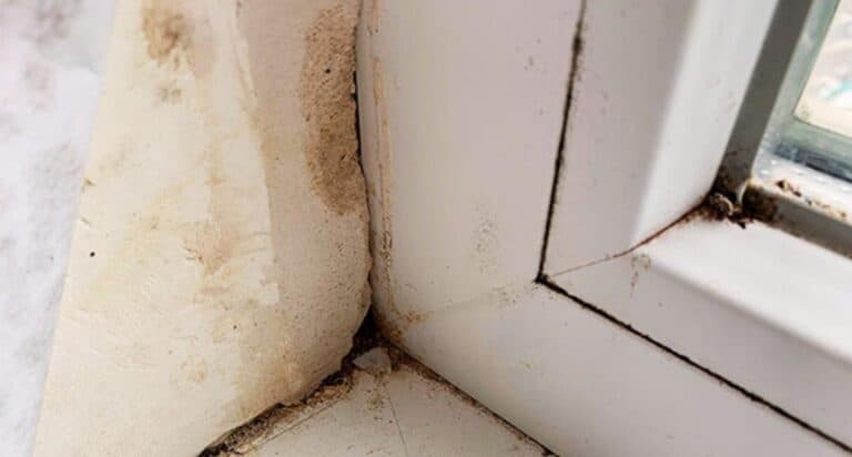 Чоловік наполягав, а я була проти — тепер шкодую. Як зрозуміти, що пора міняти вікна (3 прості ознаки)