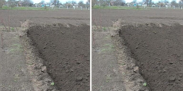 Весняна чи осіння оранка? Що я обрала та чи не пошкодувала про свій вибір, розказую