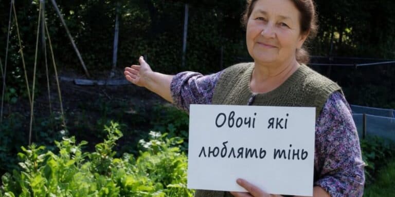 Я роками вважала, що тінь на городі — це вирок. Поки не спробувала посадити ось це