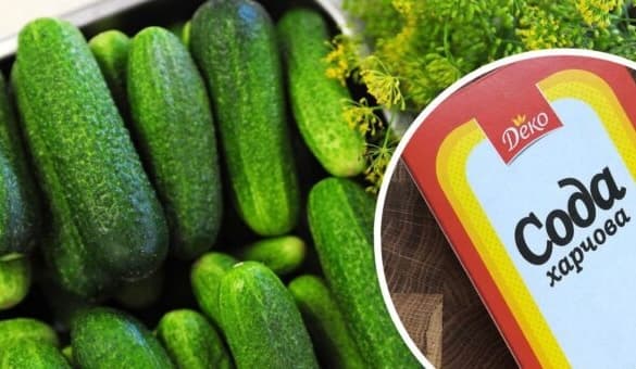 Рослини, яким буде корисна харчова сода