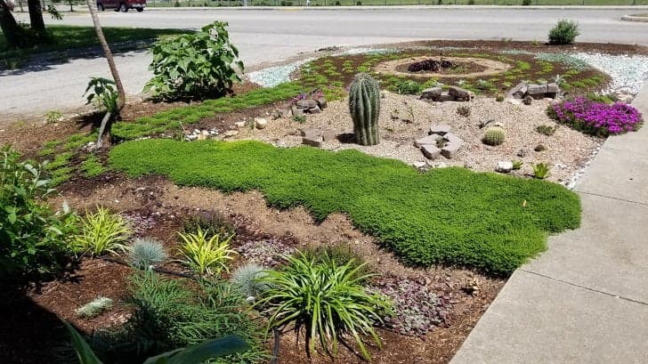 Чоловік вирощує сад в пам’ять про дружину. А по ночах йому допомагає таємничий незнайомець
