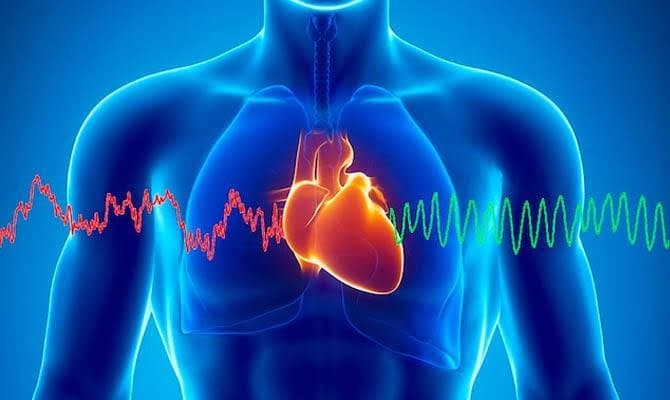 Російські вчені першими у світі розморозили і запустили серце