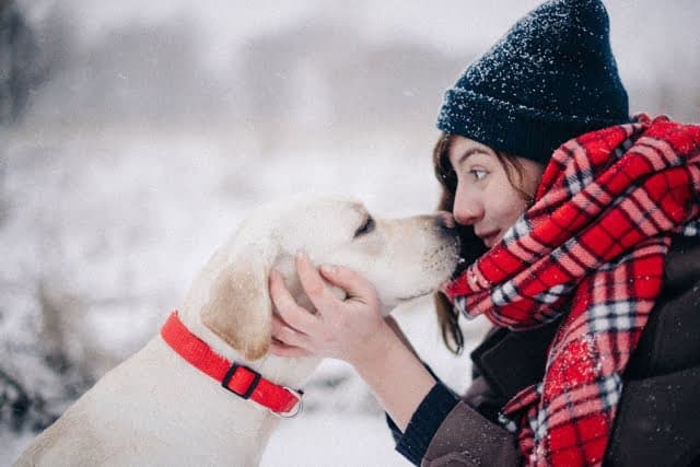 Пішла вигулювати собаку вночі і зустріла бандитів. Їм зустріч не сподобалася