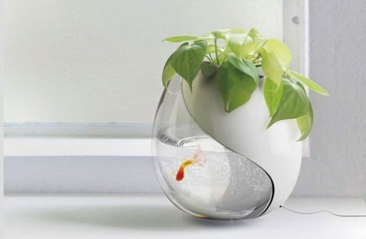 20+ речей, яких такими майже ніхто не бачив