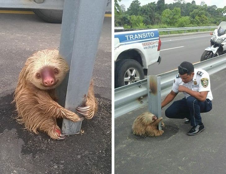 20+ доказів того, що людяність тримає цей світ на плаву