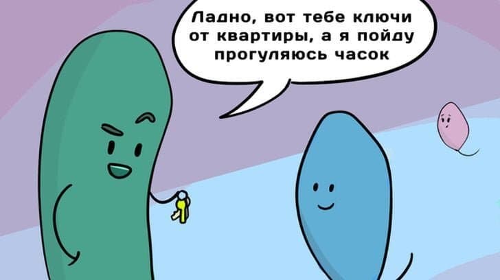 20+ коміксів від спільноти «Освітників», які до серйозних новин ставляться з тонким гумором