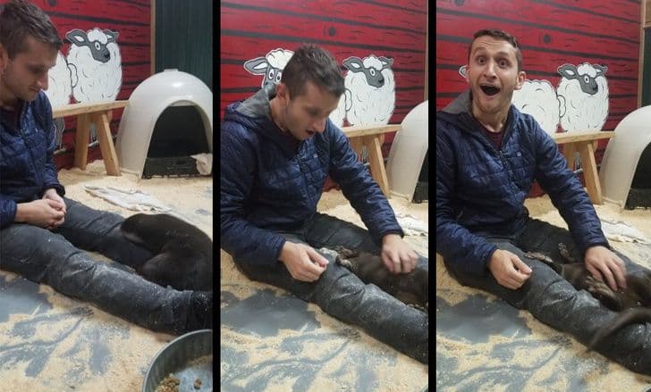 20 фото, на яких емоції яскравіші, ніж лампочка на 200 Вт