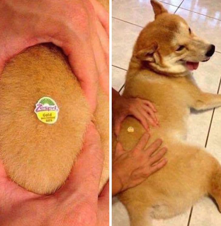 22 фотографії про те, як легко нас обдурити в інтернеті