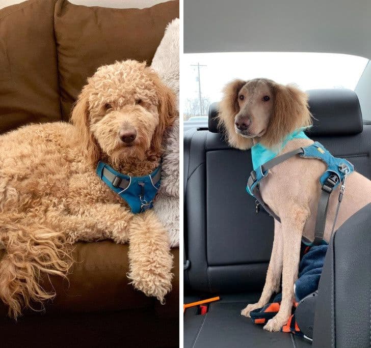 20+ людей, яким на Новий рік забули побажати удачі