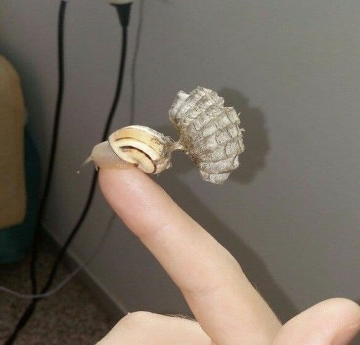 15 доказів того, що в світі є ще речі, яких ми не бачили