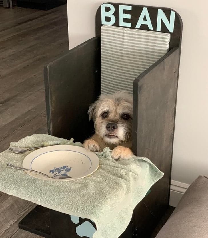 20+ людей, які відчули на собі всю силу невезіння