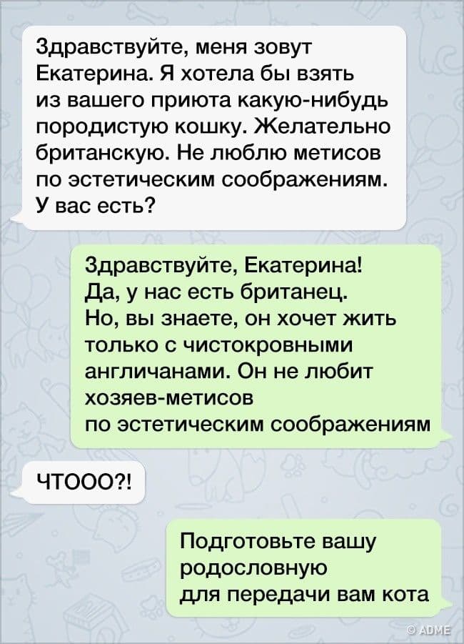 13 повідомлень від людей, яким краще було б взагалі не брати в руки телефон