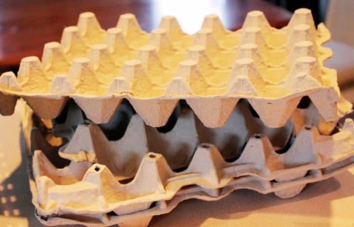 Хитрі дачники не викидають лотки з-під яєць. Розповідаю як вони їх використовують