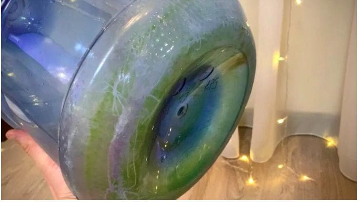 Як просто відмити сулію для води зсередини від забруднень і зелені