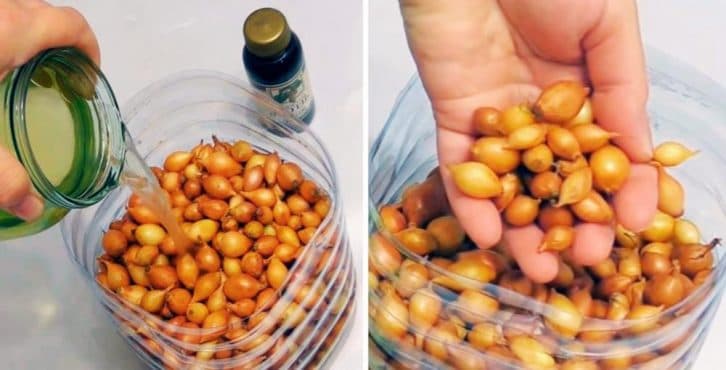 Чим і як обробити сівалку перед посадкою, щоб урожай був відмінним: 2 розчини