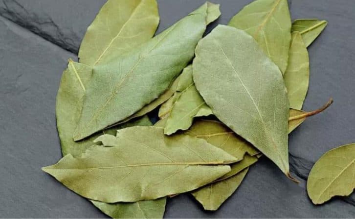 Кладу під подушку 2 лаврові листи і вам раджу. Ефективний засіб від багатьох бід