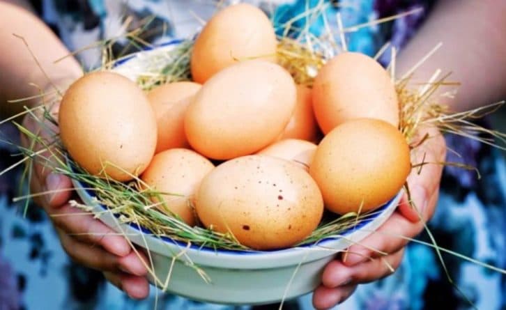 Кури засипають яйцями: досвідчена господиня навчила, що треба робити, щоб вони мчали цілий рік