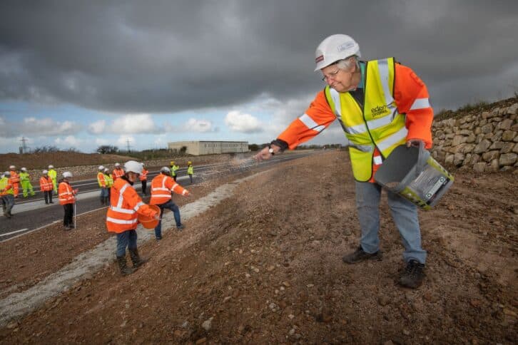 Відібране вручну насіння принесе буйство кольорів і життя новій дорозі в Корнуоллі