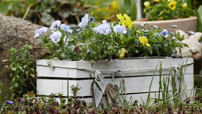 Клумби з дерева: 7 простих ідей, які можна втілити власноруч