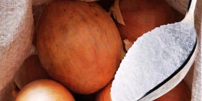 Як зберігати цибулю, щоб вона не гнила та не псувалася: 2 оригінальних способи