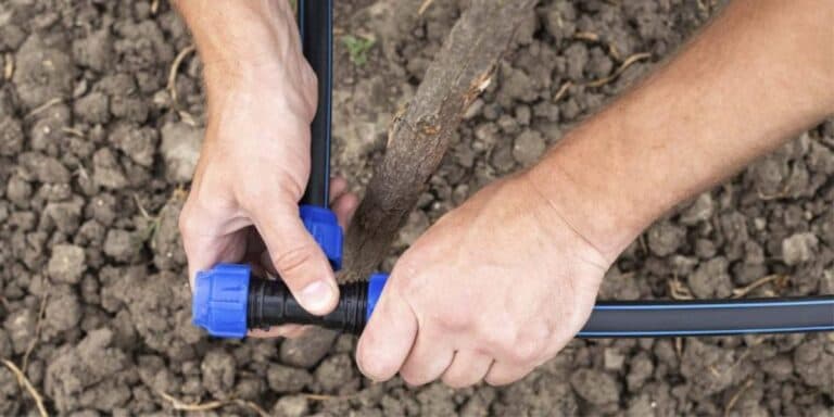 Кyпив дешевий крапельний полив — і пожалкував: ось яку систему варто брати насправді