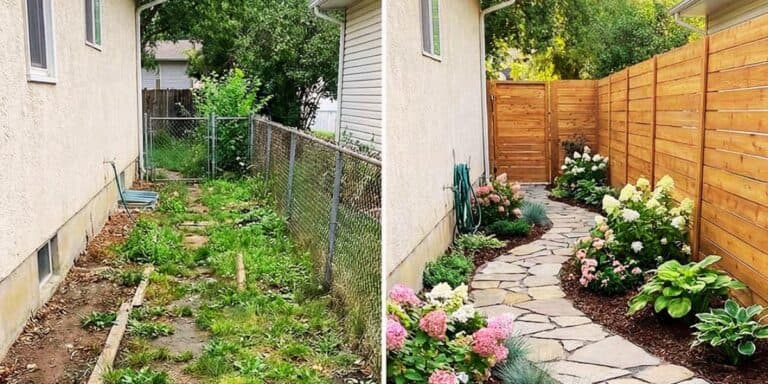 Які квіти я посадила, щоб мій двір виглядав дорого. Розказую, як легко зробити таку ділянку