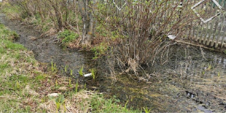 Стоїть вода на ділянці: що насправді допомагає її позбутися, а що — міф